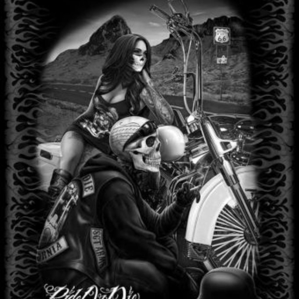 ROD Ride or die Highway to hell Queen Luxury plush blanket 7-8LBS NWT by DGA